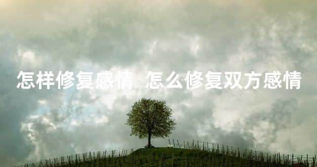 怎样修复感情  怎么修复双方感情